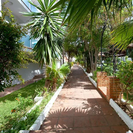 Palia Palomas Torremolinos
