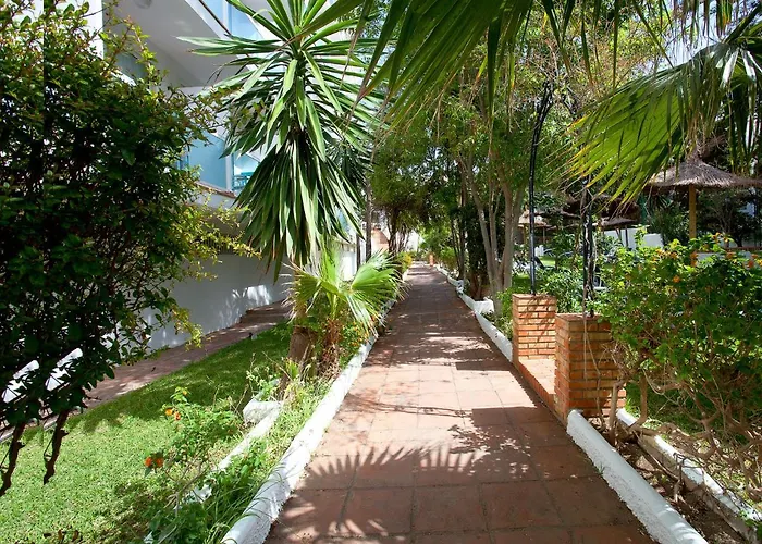 Palia Palomas Torremolinos